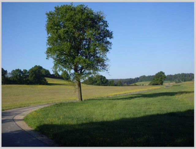 Große Darstellung des Bildes